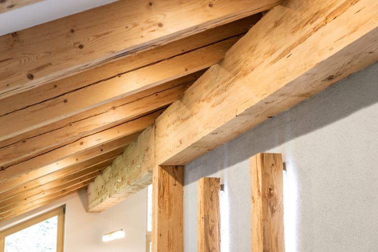 Sichtdachstuhl Retro Timber