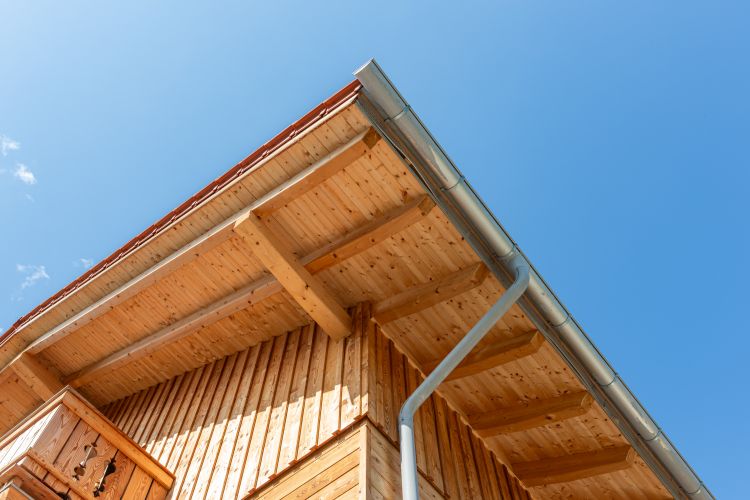 Dach Sanierung Service